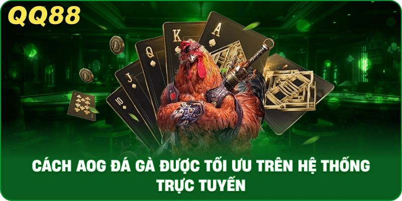 Cách Tối Ưu Hiệu Quả Khi Tham Gia Sảnh Gà AOG